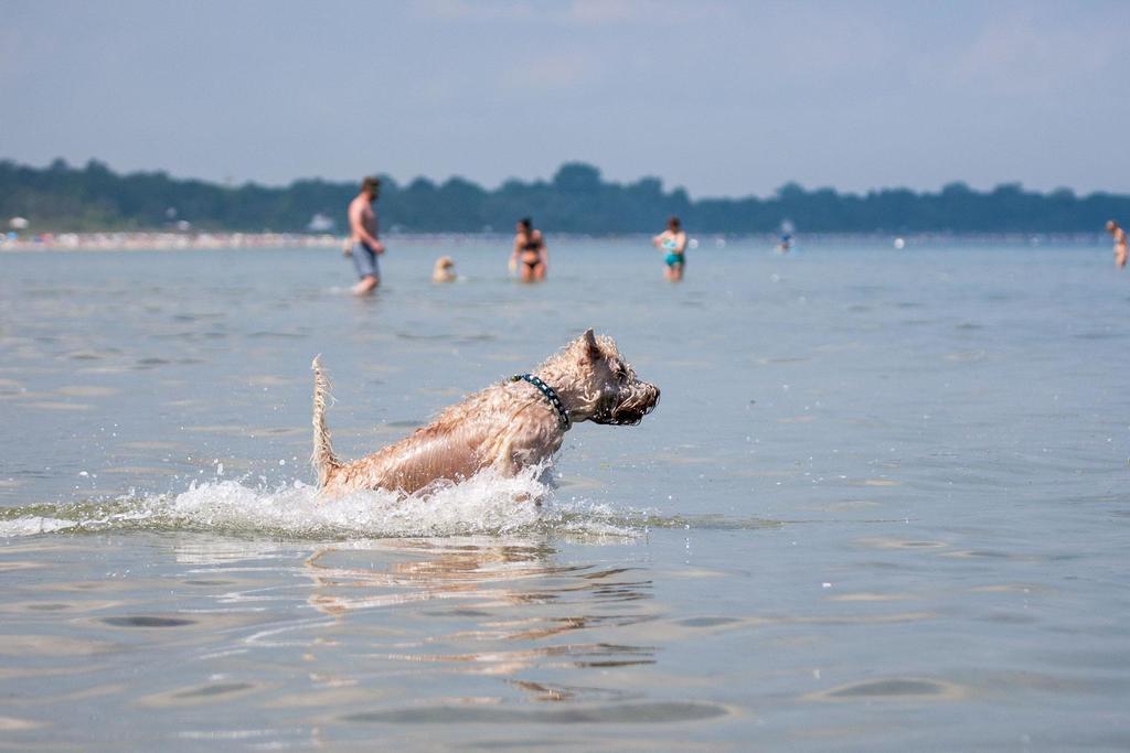 Zur alten Schmiede I Links Ostseebad Boltenhagen Exterior foto